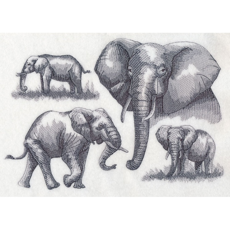 Elephant Sketch|6.9″ x 9.94″ / 175.23mm x 252.48mm|5.85″ x 8.45″ / 148.55mm x 214.58mm|4.75″ x 6.84″ / 120.69mm x 173.83mm|All Sizes