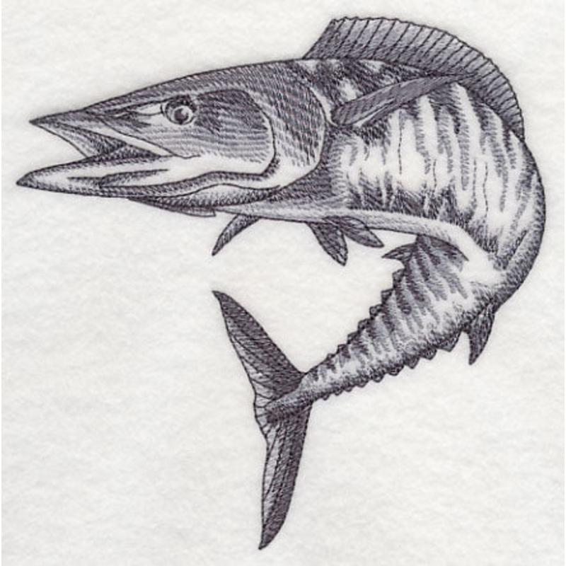 Wahoo Sketch|5.9″ x 5.85″ / 149.75mm x 148.57mm|4.89″ x 4.85″ / 124.12mm x 123.14mm|3.86″ x 3.83″ / 98.06mm x 97.26mm|All Sizes