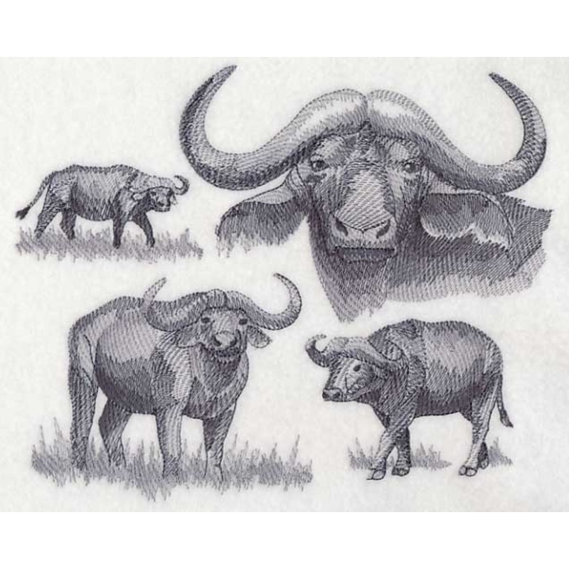 Water Buffalo Sketch|6.9″ x 8.43″ / 175.37mm x 214.03mm|6.4″ x 7.8″ / 162.5mm x 198.11mm|5.87″ x 7.18″ / 149.14mm x 182.47mm|4.89″ x 5.96″ / 124.13mm x 151.44mm|All Sizes