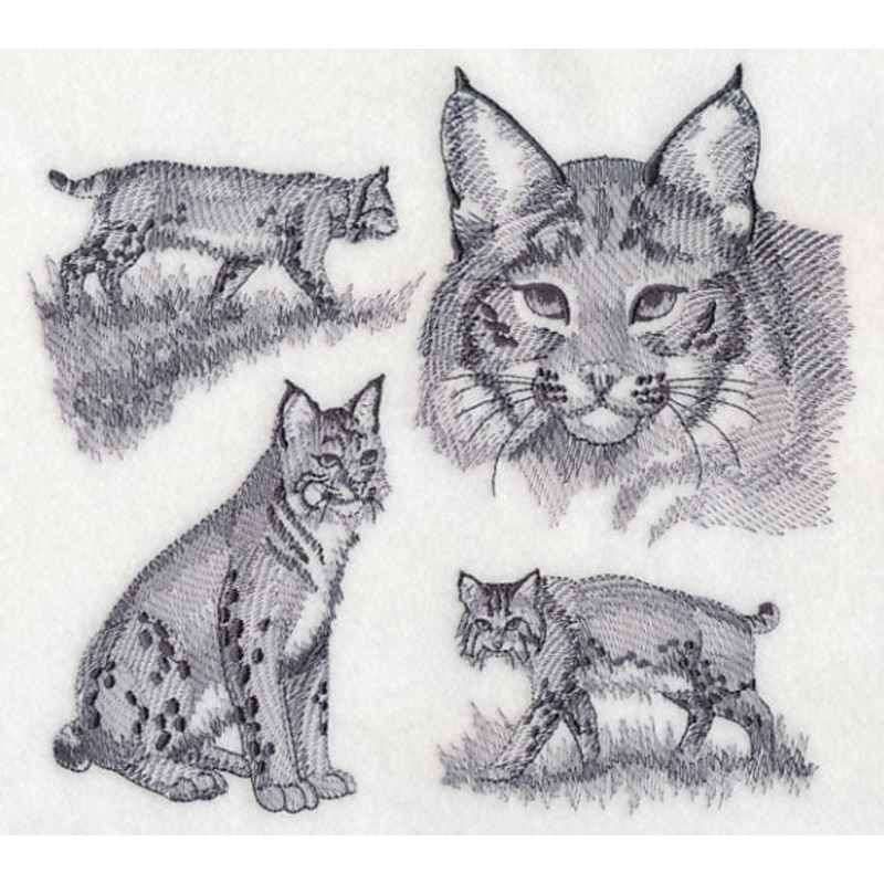 Bobcat Sketch|6.9″ x 7.54″ / 175.37mm x 191.51mm|5.86″ x 6.46″ / 148.72mm x 163.99mm|4.86″ x 5.33″ / 123.44mm x 135.4mm|All Sizes