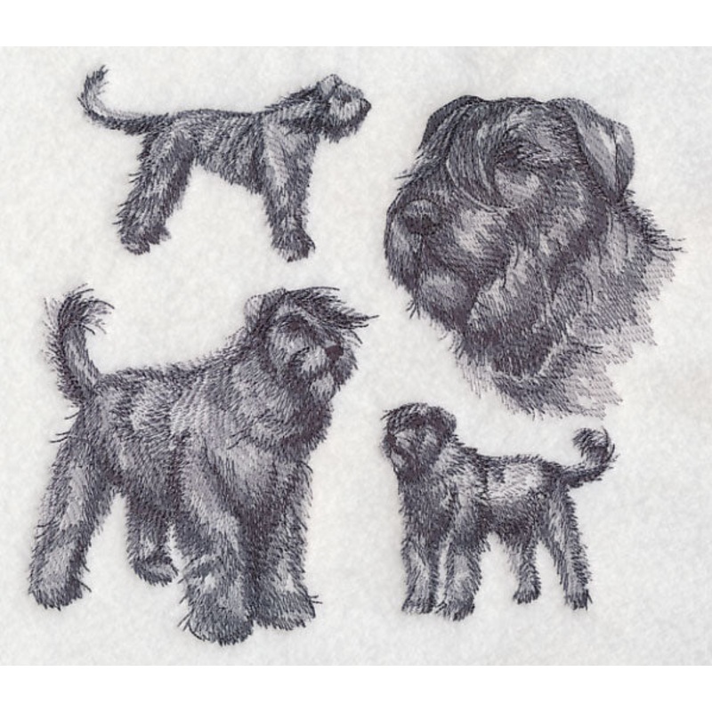 Bouvier de Flanders Sketch (Full Tail and Ears)