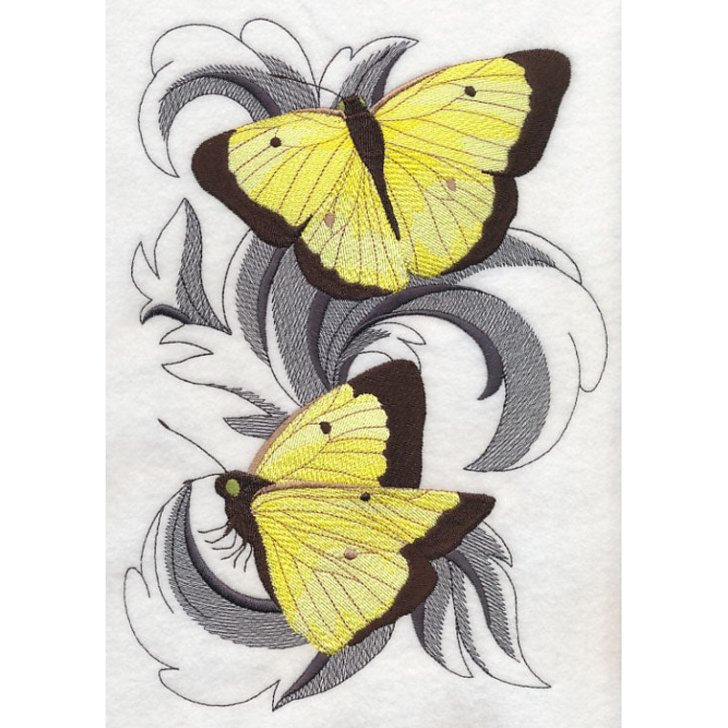 Clouded Sulfur Butterflies with Baroque Background