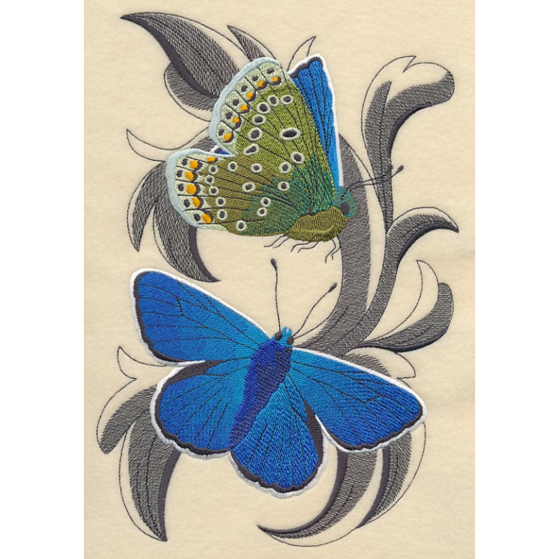 Common Blue Butterflies with Baroque Background