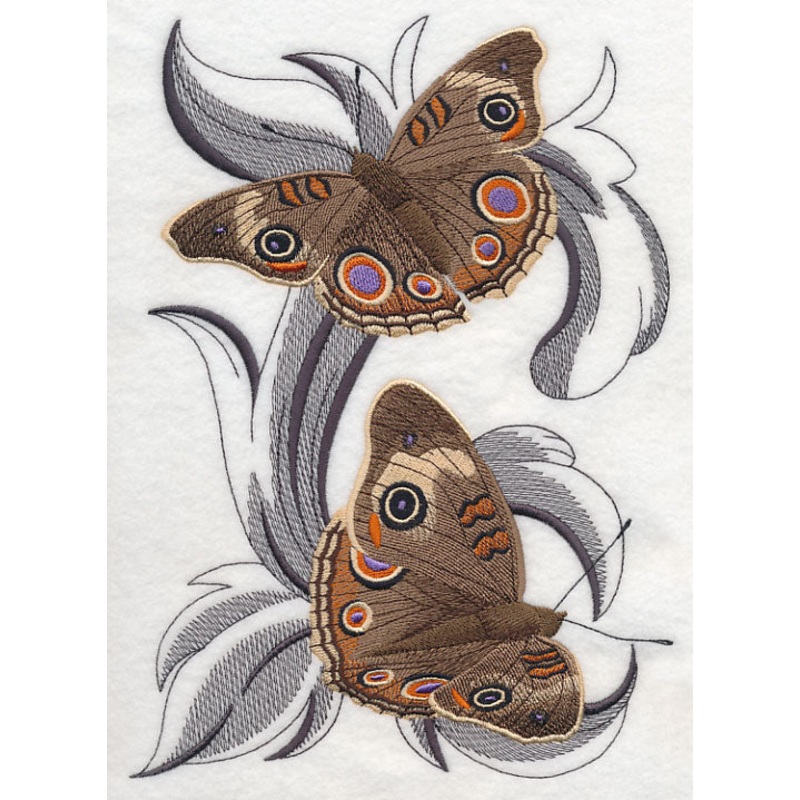 Common Buckeye Butterflies with Baroque Background
