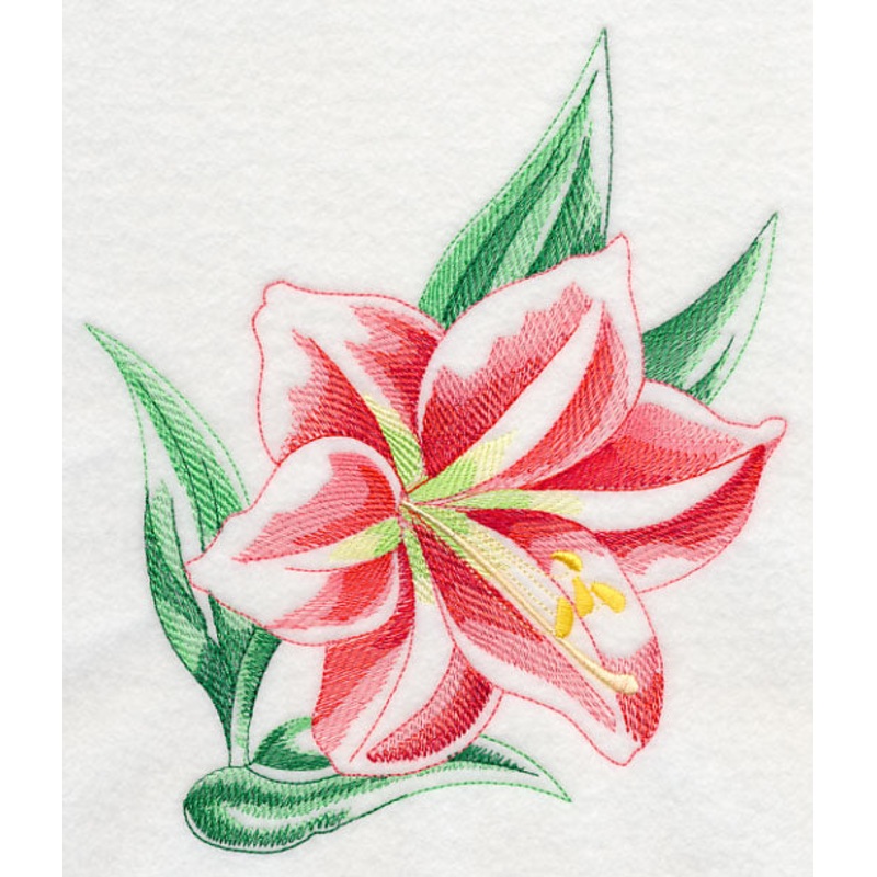 Amaryllis Beauty|7.83″ x 6.69″ / 198.88mm x 169.93mm|7.5″ x 6.4″ / 190.5mm x 162.56mm|6.85″ x 5.85″ / 173.99mm x 148.59mm|5.68″ x 4.85″ / 144.27mm x 123.19mm|3.85″ x 3.29″ / 97.79mm x 83.57mm|All Sizes