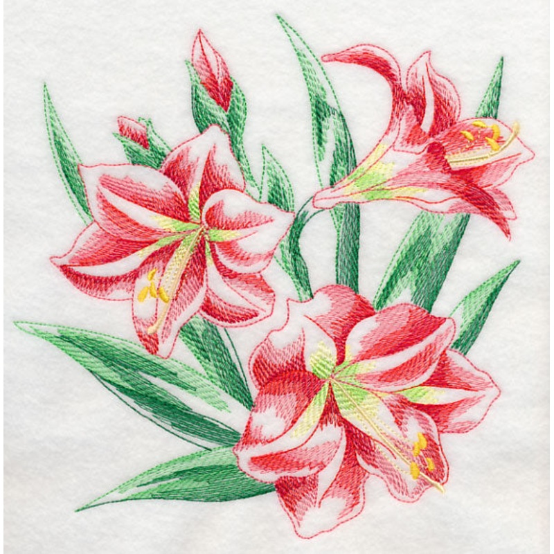 Amaryllis Sketch|7.8″ x 7.77″ / 198.12mm x 197.36mm|6.93″ x 6.9″ / 176.02mm x 175.26mm|5.87″ x 5.85″ / 149.1mm x 148.59mm|4.87″ x 4.85″ / 123.7mm x 123.19mm|3.85″ x 3.83″ / 97.79mm x 97.28mm|All Sizes