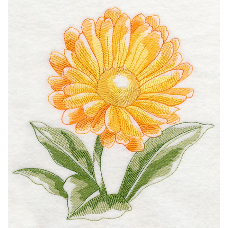Calendula Beauty|7.8″ x 7.47″ / 198.12mm x 189.74mm|7.2″ x 6.9″ / 182.88mm x 175.26mm|6.11″ x 5.85″ / 155.19mm x 148.59mm|5.06″ x 4.85″ / 128.52mm x 123.19mm|3.85″ x 3.69″ / 97.79mm x 93.73mm|All Sizes
