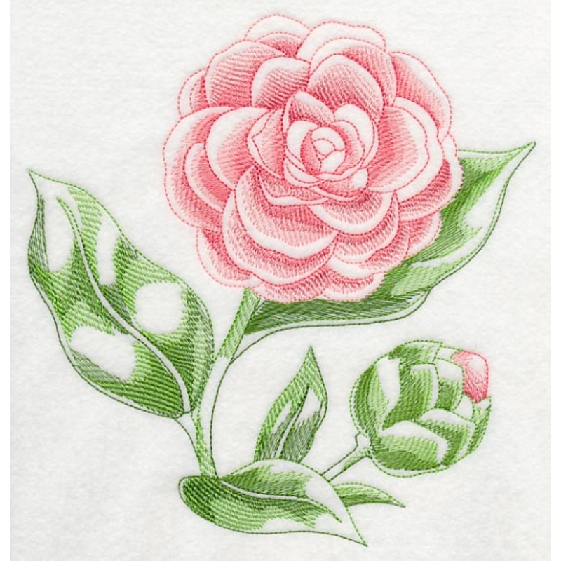 Camellia Beauty|7.8″ x 7.55″ / 198.12mm x 191.77mm|7.13″ x 6.9″ / 181.1mm x 175.26mm|6.04″ x 5.85″ / 153.42mm x 148.59mm|5.01″ x 4.85″ / 127.25mm x 123.19mm|3.85″ x 3.72″ / 97.79mm x 94.49mm|All Sizes