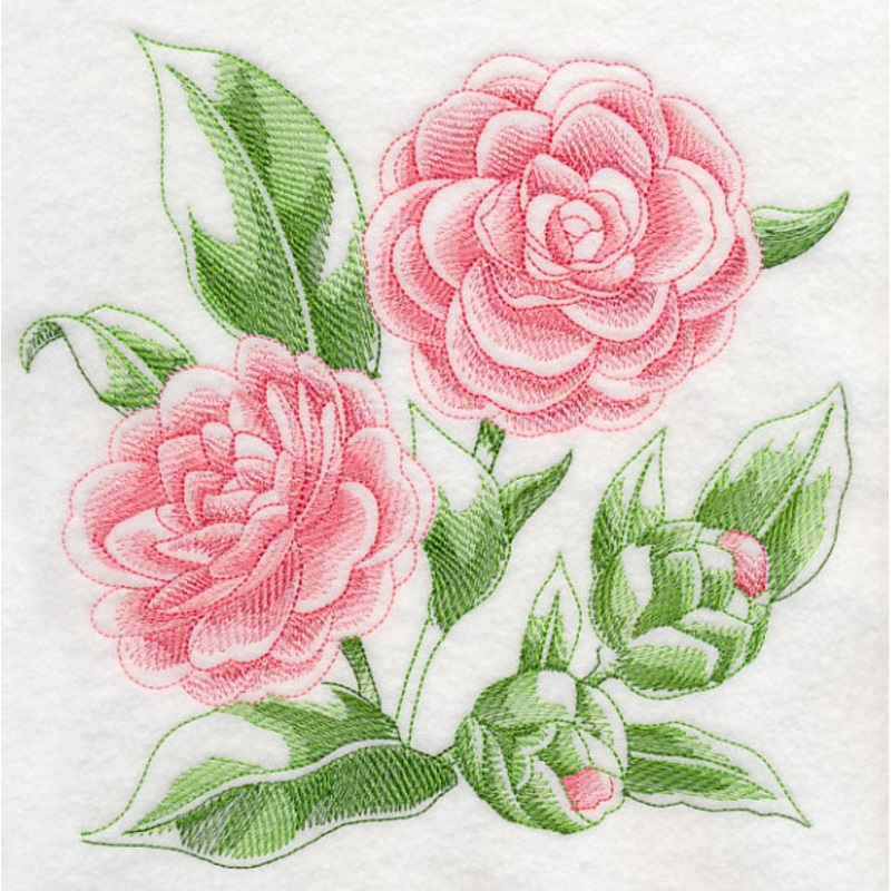 Camellia Sketch|7.77″ x 7.8″ / 197.36mm x 198.12mm|6.9″ x 6.92″ / 175.26mm x 175.77mm|5.85″ x 5.87″ / 148.59mm x 149.1mm|4.85″ x 4.87″ / 123.19mm x 123.7mm|3.83″ x 3.85″ / 97.28mm x 97.79mm|All Sizes