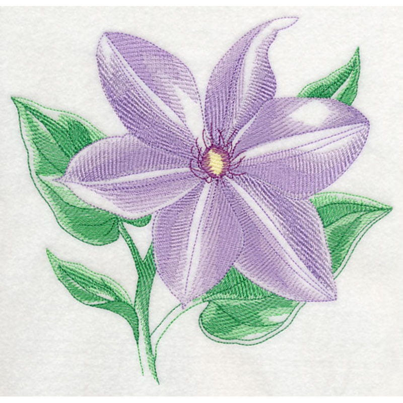 Clematis Beauty|7.44″ x 7.78″ / 188.98mm x 197.61mm|6.88″ x 7.19″ / 174.75mm x 182.63mm|5.83″ x 6.1″ / 148.08mm x 154.94mm|4.84″ x 5.06″ / 122.94mm x 128.52mm|3.68″ x 3.85″ / 93.47mm x 97.79mm|All Sizes