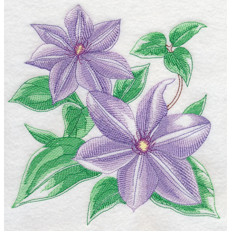 Clematis Sketch|7.78″ x 7.48″ / 197.61mm x 189.99mm|7.16″ x 6.88″ / 181.86mm x 174.75mm|6.13″ x 5.89″ / 155.7mm x 149.61mm|5.08″ x 4.89″ / 129.03mm x 124.21mm|3.87″ x 3.72″ / 98.3mm x 94.49mm|All Sizes