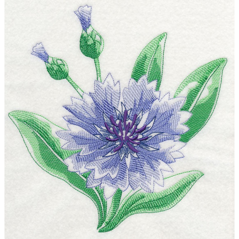 Cornflower Beauty|7.8″ x 7.53″ / 198.12mm x 191.26mm|7.15″ x 6.9″ / 181.61mm x 175.26mm|6.04″ x 5.83″ / 153.42mm x 148.08mm|5.02″ x 4.86″ / 127.51mm x 123.44mm|3.87″ x 3.75″ / 98.3mm x 95.25mm|All Sizes