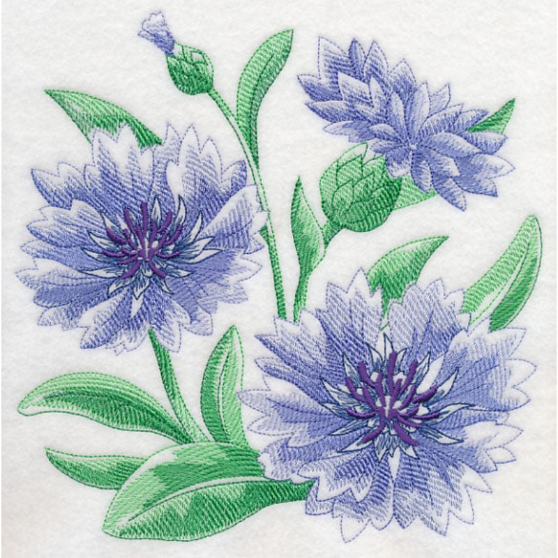 Cornflower Sketch|7.79″ x 7.8″ / 197.87mm x 198.12mm|6.9″ x 6.91″ / 175.26mm x 175.51mm|5.85″ x 5.86″ / 148.59mm x 148.84mm|4.85″ x 4.86″ / 123.19mm x 123.44mm|3.85″ x 3.86″ / 97.79mm x 98.04mm|All Sizes