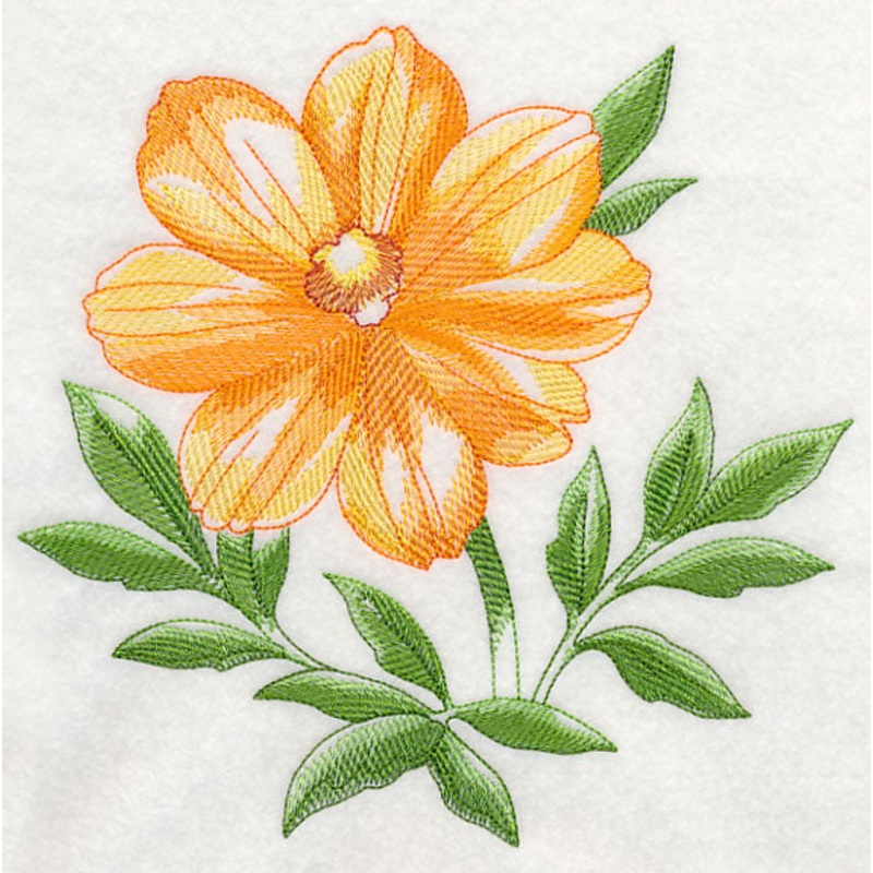 Cosmos Beauty|7.55″ x 7.78″ / 191.77mm x 197.61mm|6.88″ x 7.09″ / 174.75mm x 180.09mm|5.86″ x 6.04″ / 148.84mm x 153.42mm|4.87″ x 5.01″ / 123.7mm x 127.25mm|3.76″ x 3.87″ / 95.5mm x 98.3mm|All Sizes