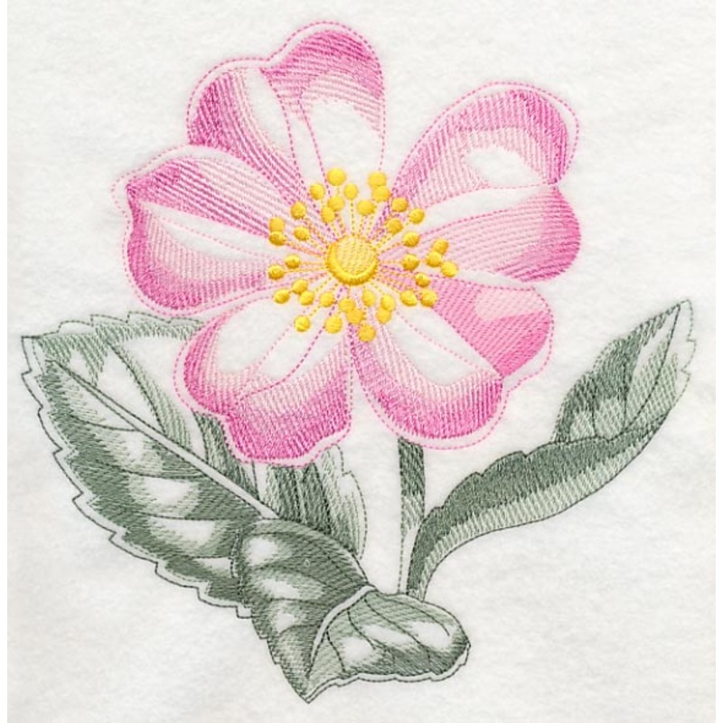 Dog Rose Beauty|7.8″ x 7.74″ / 198.12mm x 196.6mm|6.95″ x 6.9″ / 176.53mm x 175.26mm|5.9″ x 5.86″ / 149.86mm x 148.84mm|4.88″ x 4.85″ / 123.95mm x 123.19mm|3.85″ x 3.82″ / 97.79mm x 97.03mm|All Sizes