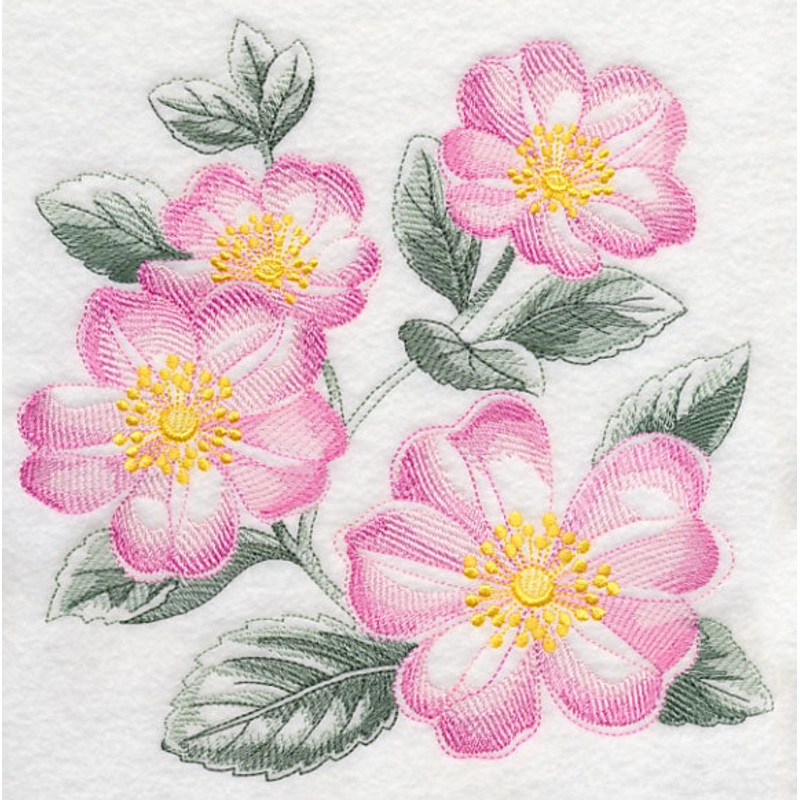 Dog Roses Sketch|7.8″ x 7.8″ / 198.12mm x 198.12mm|6.9″ x 6.9″ / 175.26mm x 175.26mm|5.85″ x 5.85″ / 148.59mm x 148.59mm|4.85″ x 4.85″ / 123.19mm x 123.19mm|3.85″ x 3.85″ / 97.79mm x 97.79mm|All Sizes
