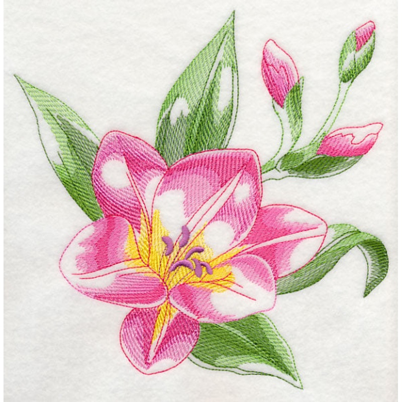 Freesia Beauty|7.76″ x 7.8″ / 197.1mm x 198.12mm|6.9″ x 6.93″ / 175.26mm x 176.02mm|5.85″ x 5.87″ / 148.59mm x 149.1mm|4.85″ x 4.87″ / 123.19mm x 123.7mm|3.83″ x 3.85″ / 97.28mm x 97.79mm|All Sizes