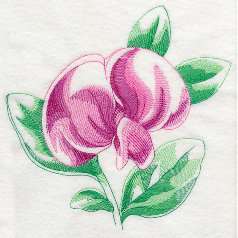 Sweet Pea Beauty|7.8″ x 7.75″ / 198.12mm x 196.85mm|6.94″ x 6.9″ / 176.28mm x 175.26mm|5.89″ x 5.85″ / 149.61mm x 148.59mm|4.88″ x 4.85″ / 123.95mm x 123.19mm|3.85″ x 3.83″ / 97.79mm x 97.28mm|All Sizes