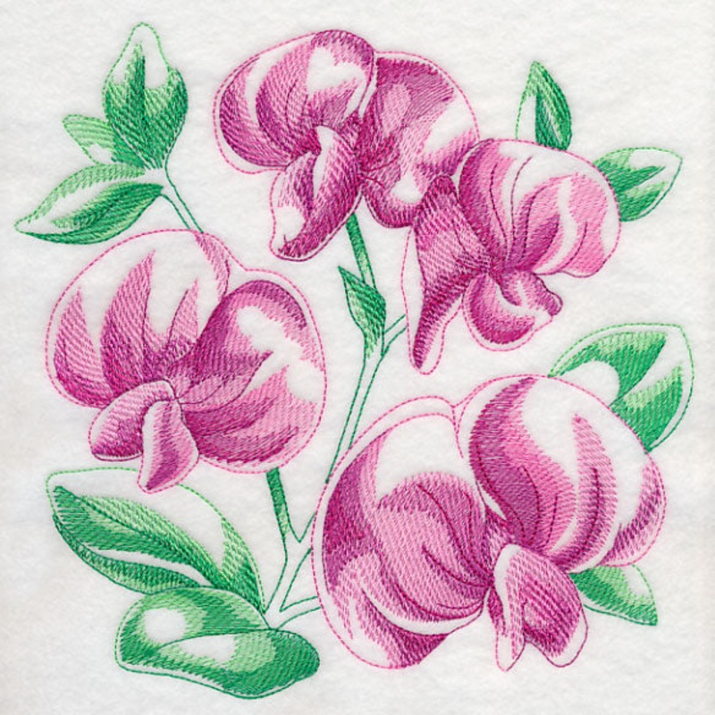 Sweet Pea Sketch|7.79″ x 7.8″ / 197.87mm x 198.12mm|6.9″ x 6.91″ / 175.26mm x 175.51mm|5.85″ x 5.86″ / 148.59mm x 148.84mm|4.85″ x 4.86″ / 123.19mm x 123.44mm|3.84″ x 3.85″ / 97.54mm x 97.79mm|All Sizes