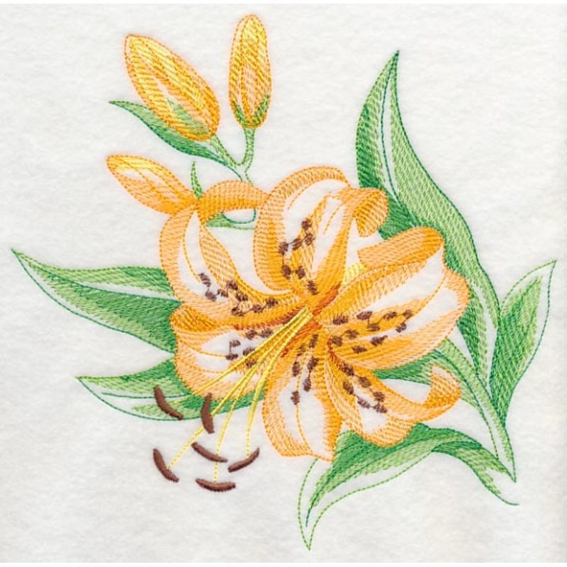 Tiger Lily Beauty|7.62″ x 7.8″ / 193.55mm x 198.12mm|6.9″ x 7.06″ / 175.26mm x 179.32mm|5.85″ x 5.99″ / 148.59mm x 152.15mm|4.85″ x 4.96″ / 123.19mm x 125.98mm|3.76″ x 3.85″ / 95.5mm x 97.79mm|All Sizes