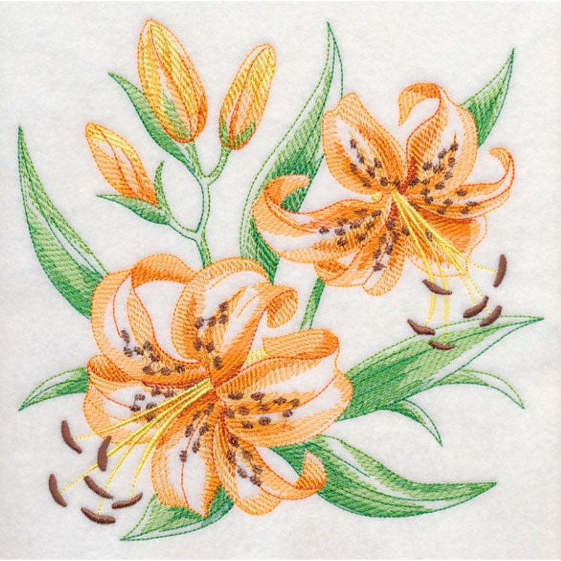 Tiger Lily Sketch|7.64″ x 7.8″ / 194.06mm x 198.12mm|6.9″ x 7.05″ / 175.26mm x 179.07mm|5.87″ x 6″ / 149.1mm x 152.4mm|4.85″ x 4.95″ / 123.19mm x 125.73mm|3.77″ x 3.85″ / 95.76mm x 97.79mm|All Sizes