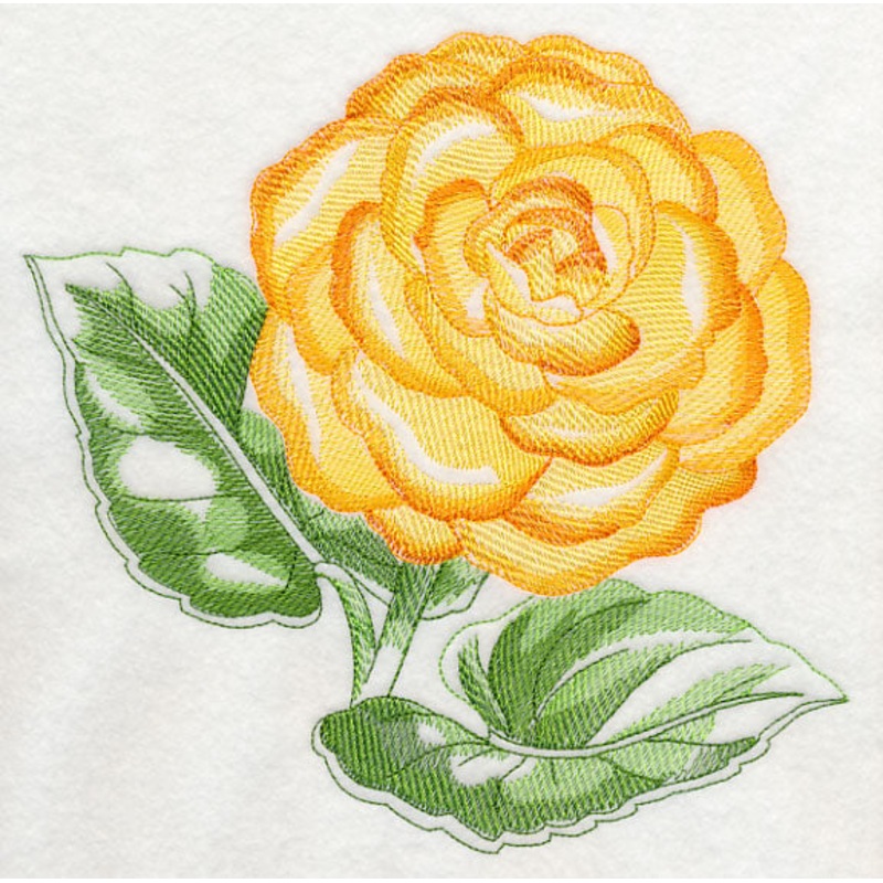 Tuberous Begonia Beauty|7.51″ x 7.8″ / 190.75mm x 198.12mm|6.9″ x 7.17″ / 175.26mm x 182.12mm|5.85″ x 6.08″ / 148.59mm x 154.43mm|4.85″ x 5.04″ / 123.19mm x 128.02mm|3.71″ x 3.85″ / 94.23mm x 97.79mm|All Sizes