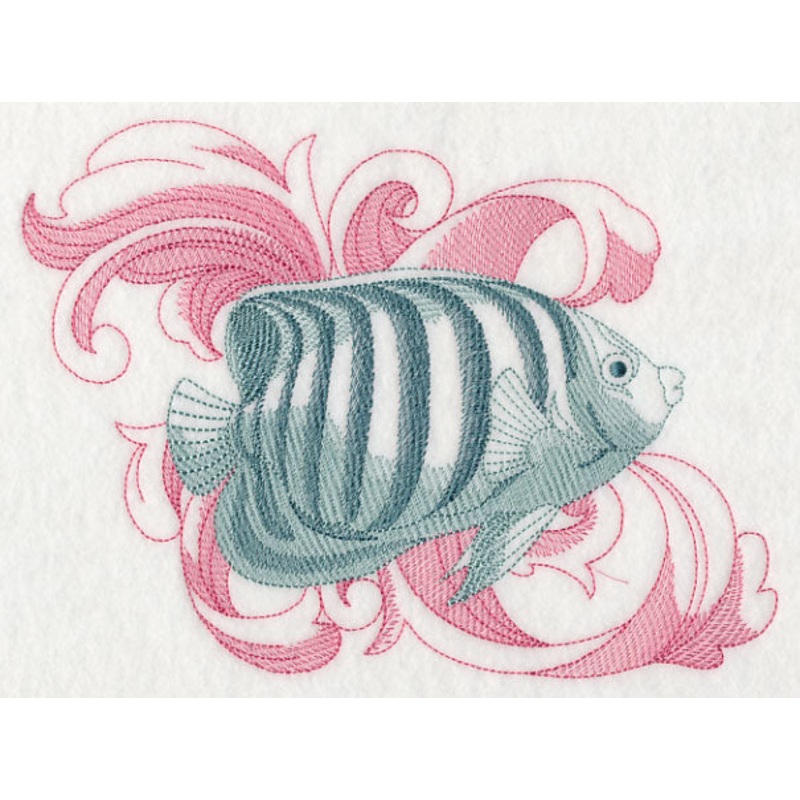 Angelfish with Baroque Background