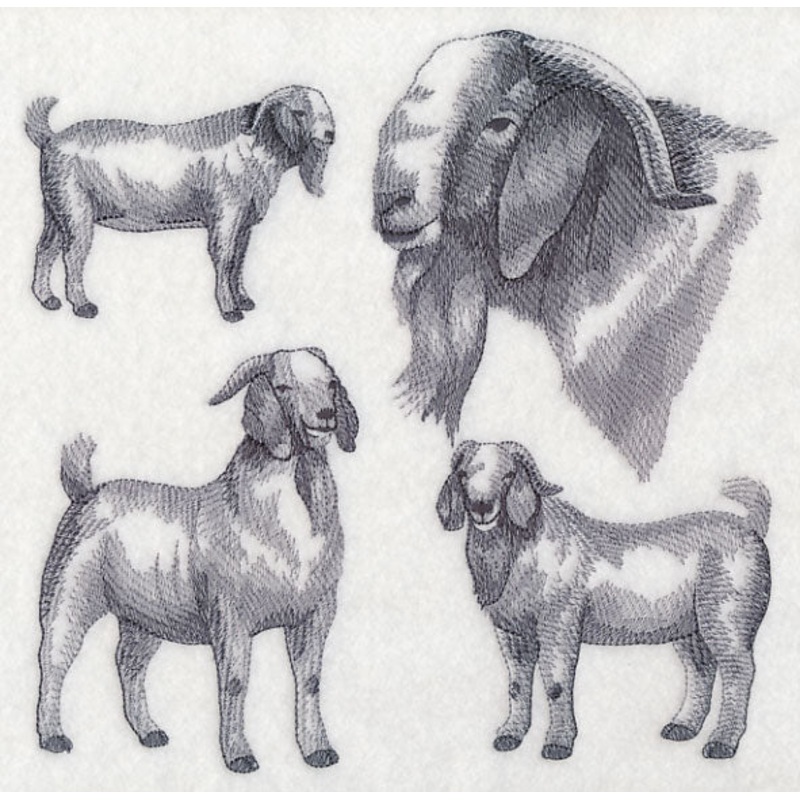 Boer Goat Sketch|7.79″ x 7.8″ / 197.82mm x 198.21mm|6.89″ x 6.9″ / 174.96mm x 175.36mm|5.87″ x 5.88″ / 149.04mm x 149.38mm|4.87″ x 4.87″ / 123.71mm x 123.78mm|All Sizes