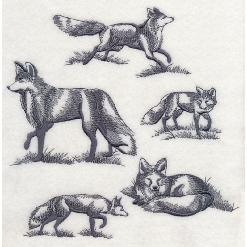 Foxes in Nature|7.63″ x 7.8″ / 193.77mm x 198.21mm|6.91″ x 7.06″ / 175.43mm x 179.44mm|5.88″ x 6.01″ / 149.31mm x 152.7mm|4.86″ x 4.97″ / 123.36mm x 126.15mm|All Sizes