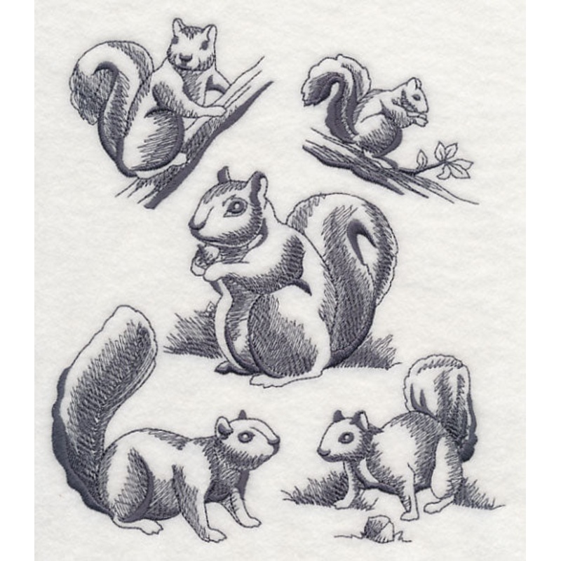 Squirrel Scurry|7.67″ x 6.88″ / 194.85mm x 174.66mm|6.55″ x 5.87″ / 166.27mm x 149.08mm|5.41″ x 4.85″ / 137.34mm x 123.14mm|All Sizes