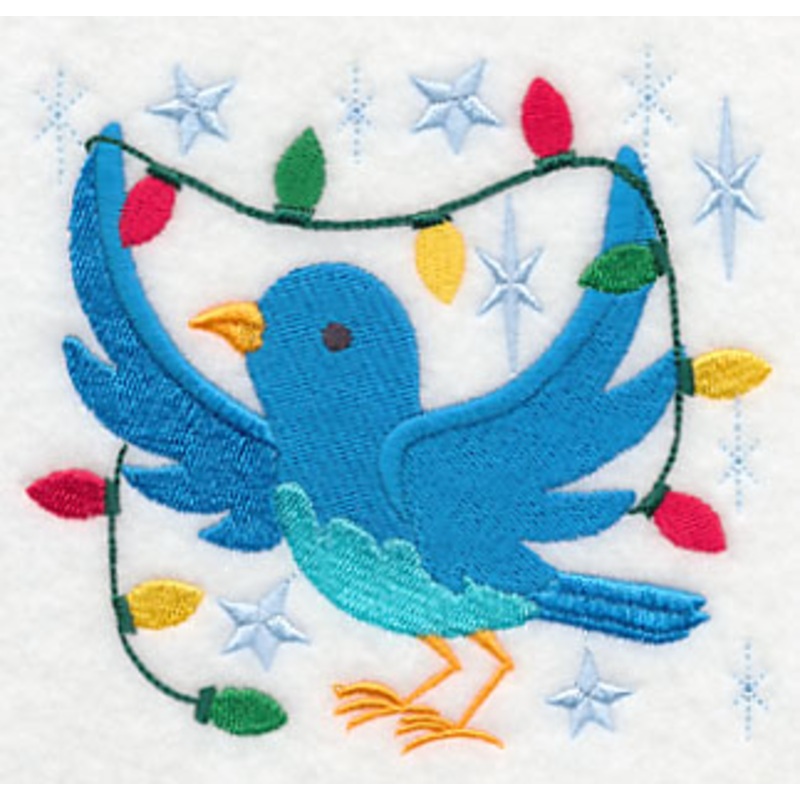 Bluebird Holly-Dazzle – Lights 2