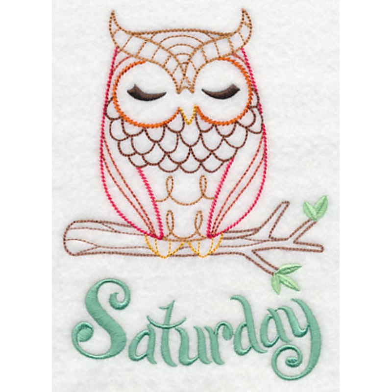 What a Hoot! Saturday (Vintage)