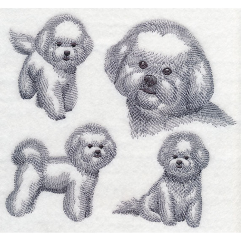 Bichon Frise Sketch|6.9″ x 7.76″ / 175.2mm x 197.16mm|5.86″ x 6.62″ / 148.84mm x 168.15mm|4.82″ x 5.43″ / 122.55mm x 137.82mm|All Sizes