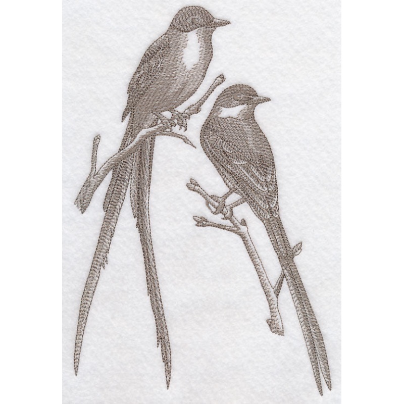 Fork-tailed Flycatchers (Toile)