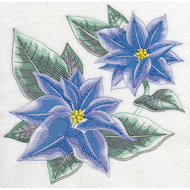 Blue Christmas Poinsettia Sketch