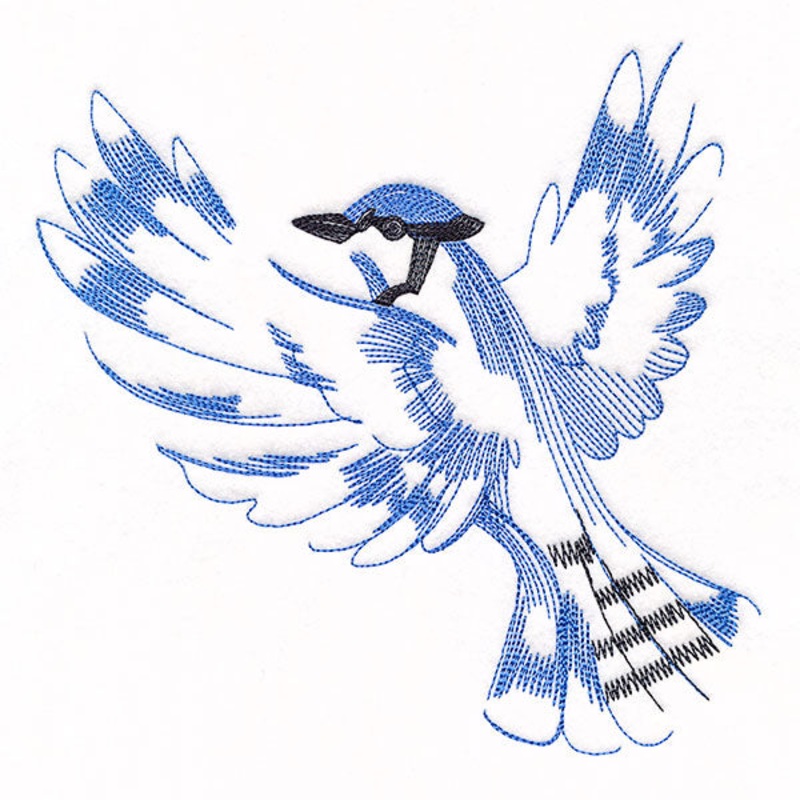 Contours of Beauty Blue Jay|6.85″ x 7.13″ / 173.97mm x 181.22mm|5.85″ x 6.09″ / 148.57mm x 154.74mm|4.85″ x 5.05″ / 123.18mm x 128.28mm|All Sizes