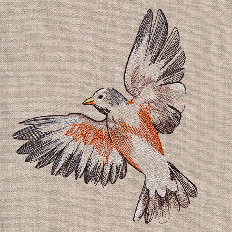 Contours of Beauty Robin|7.93″ x 6.62″ / 201.48mm x 168.12mm|7.03″ x 5.87″ / 178.6mm x 149.04mm|6.39″ x 5.33″ / 162.39mm x 135.48mm|5.81″ x 4.85″ / 147.63mm x 123.15mm|All Sizes