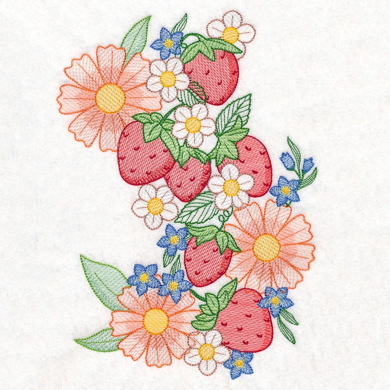 Summer Fruit Garden – Strawberries