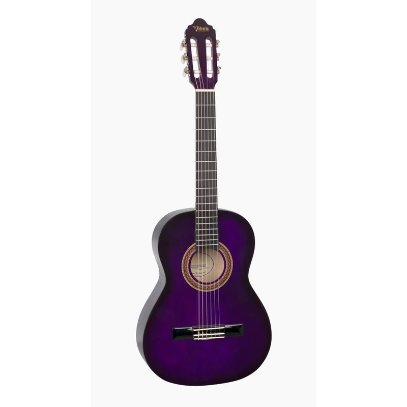 Valencia 100 series Coloured Classical Guitar