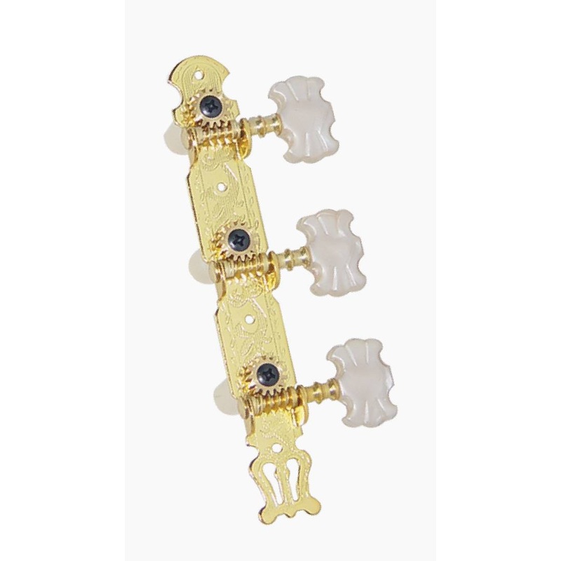 Dr. Parts Gold Plated Machine Head Plates