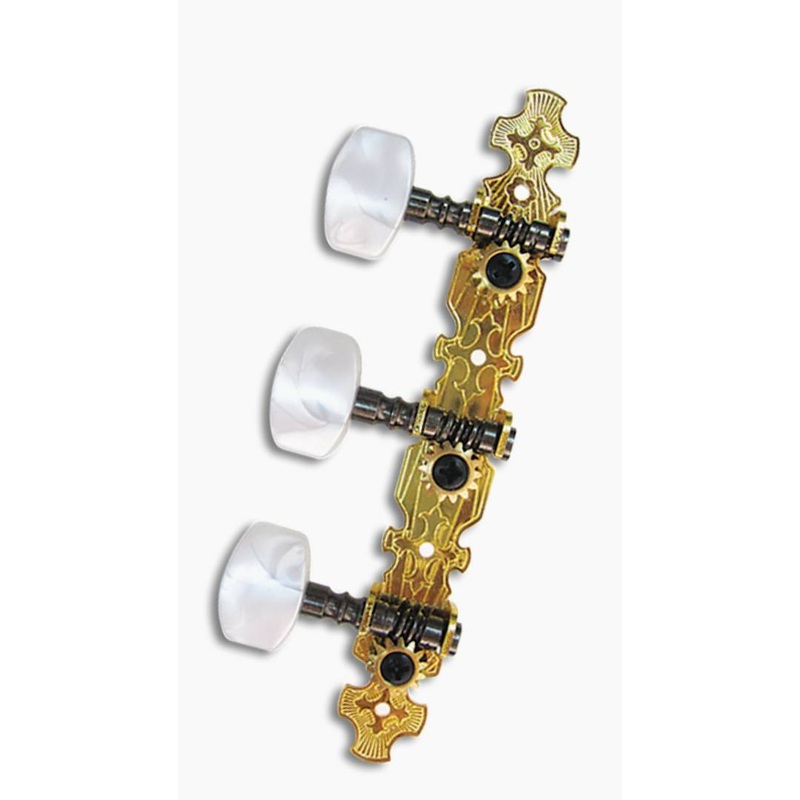 Valencia Gold Plated Machine Head Plates