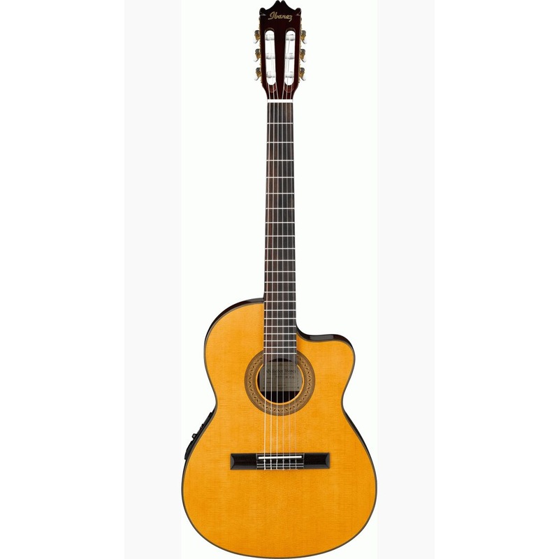 Ibanez GA5TCE AM Slim Classical