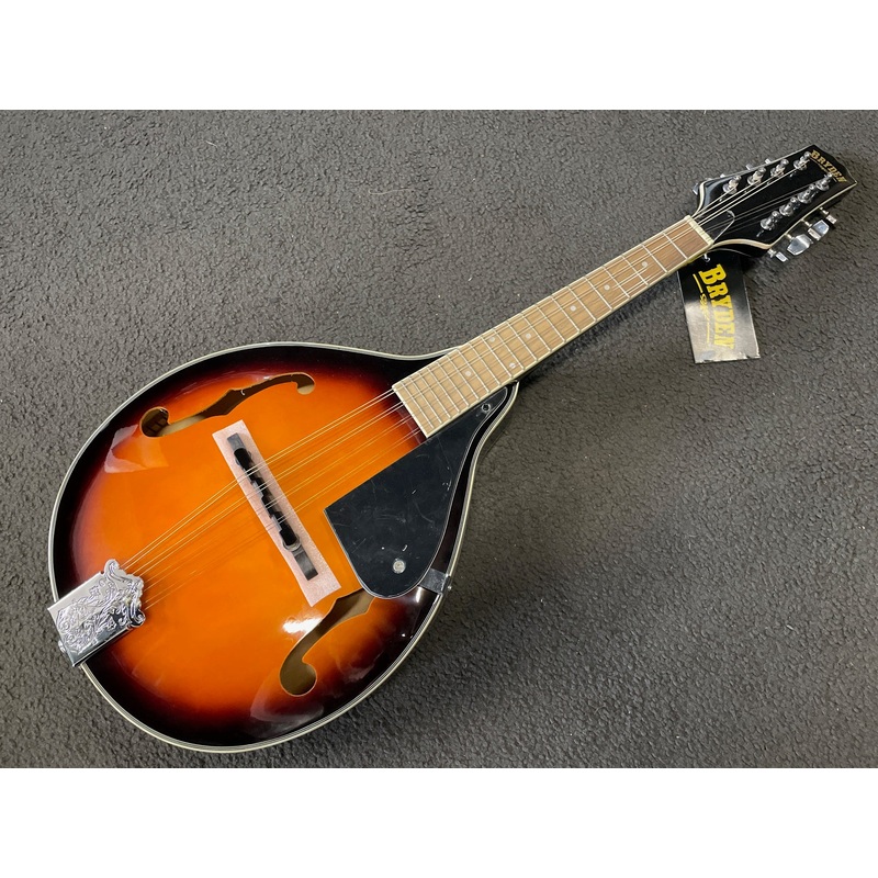 Bryden SMA-10 Archtop Mandolin *NEW*