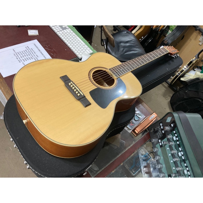 Washburn – F10SK