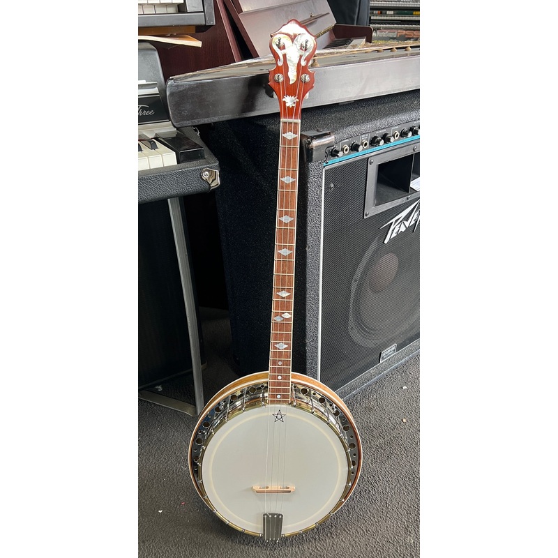 White Swallow – Plectrum Banjo