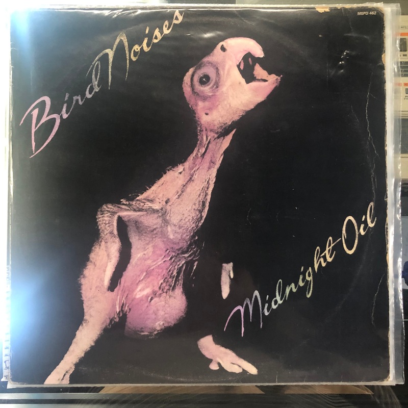 Midnight Oil – Bird Noises EP