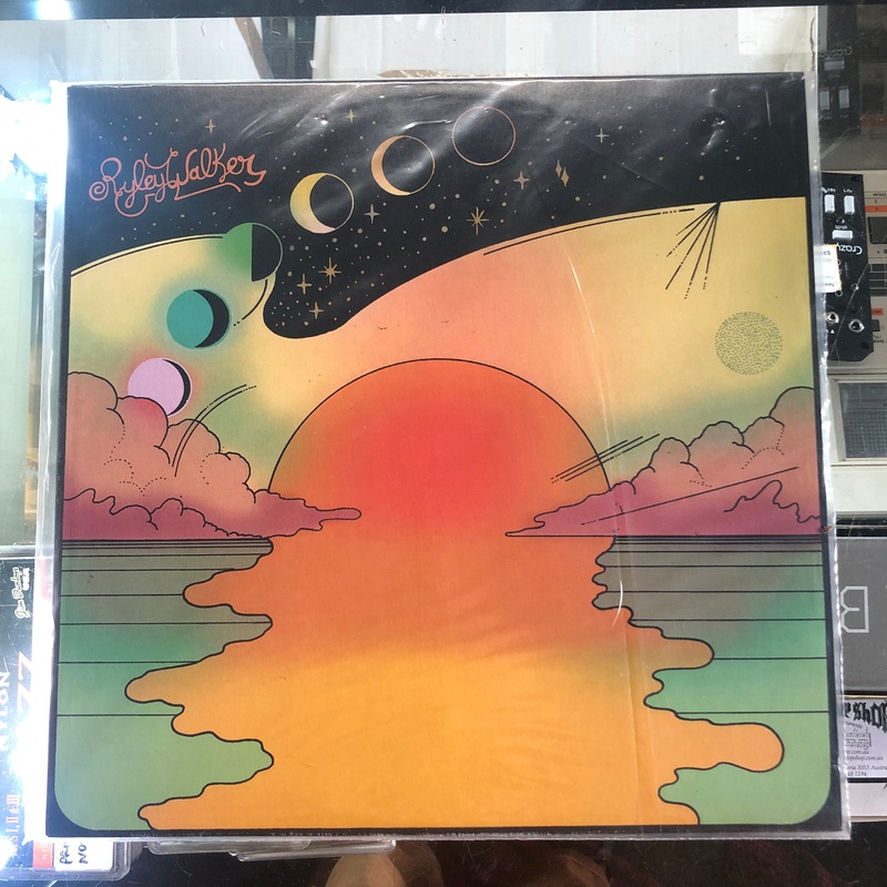 Ryley Walker – Golden Sings That Have Been Sung