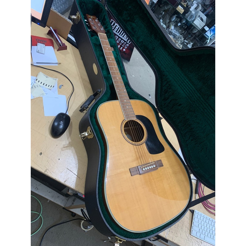 Washburn – D10S