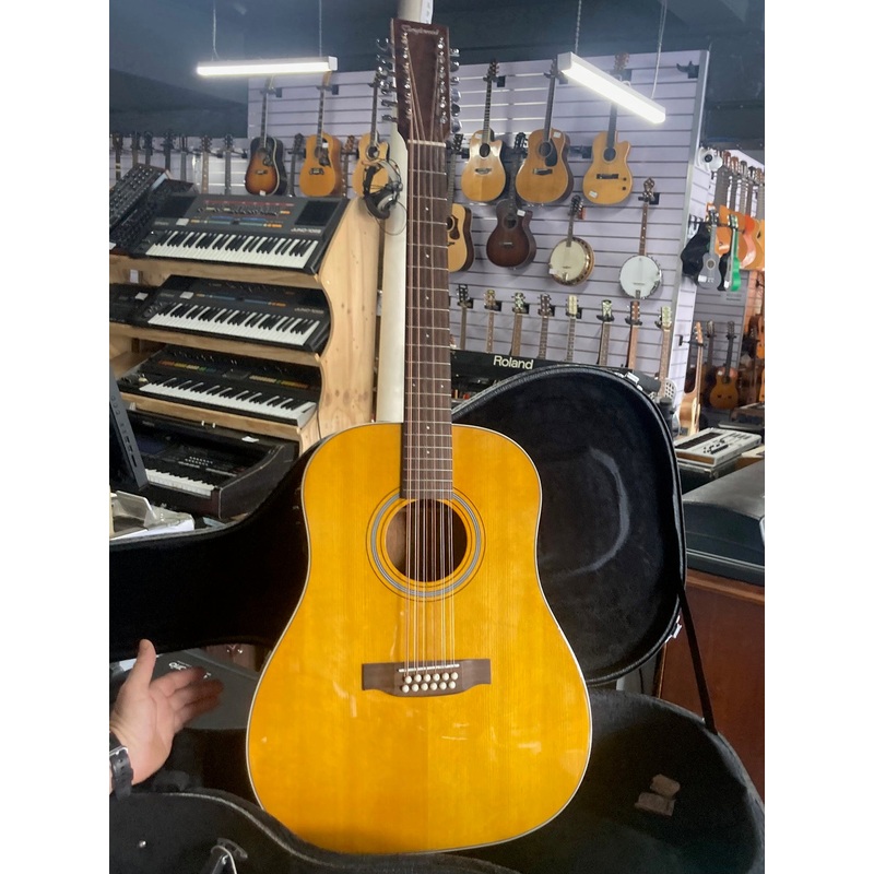 Tanglewood – TW40-12SDANE