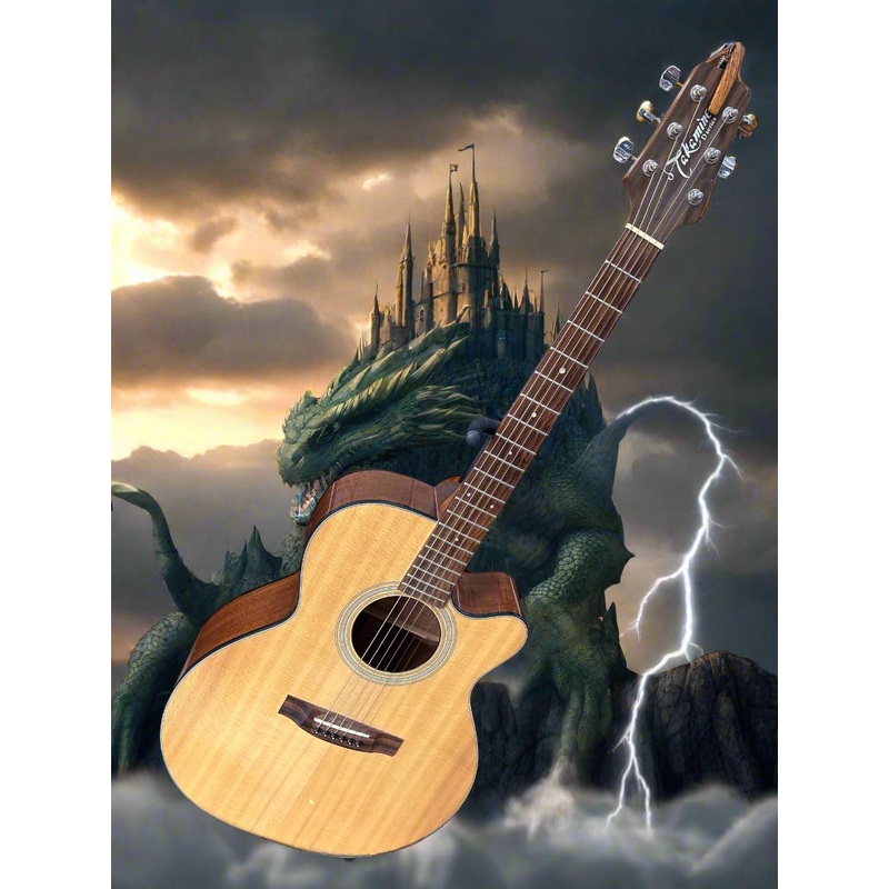 Takamine – D50C